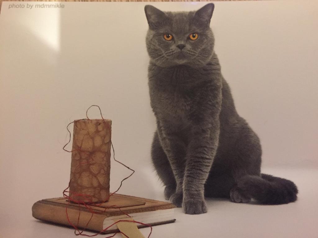 Father, Handy Larocca